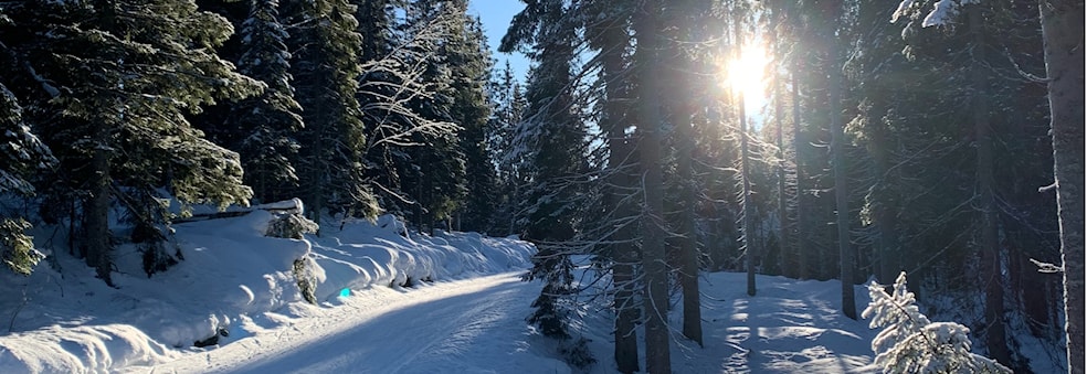 Dra på aketur med oss! Go sledding with us!